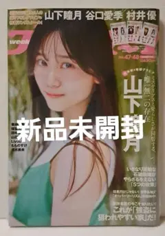 (新品)週刊プレイボーイ　2024.11.25