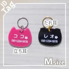 Item thumbnail for item ffd5d593-02ed-416f-814d-a63d0bd05248