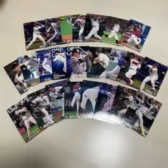 プロ野球チップスカード　2022
