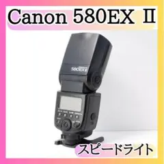 Item thumbnail for item 036155ac-c414-4b1c-9962-6b7e26c9df8d