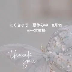 高品質ケミカルレース 約14.5m