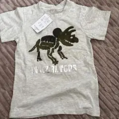 トリケラトプス Tシャツ 110サイズ