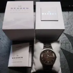 SKAGEN/スカーゲン クォーツ 腕時計 チタニウム 806XLTXM
