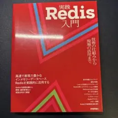 【美品】実践Redis入門 技術の仕組みから現場の活用まで