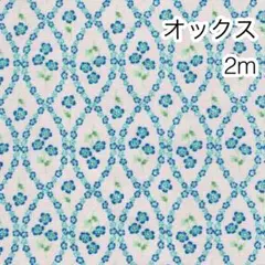 Item thumbnail for item cf9f421b-8fbd-4a60-98c1-3b857dd64af9
