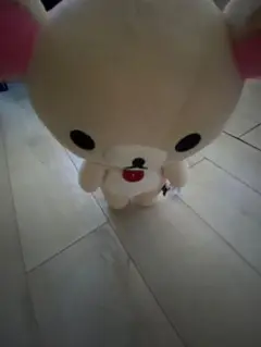 専用