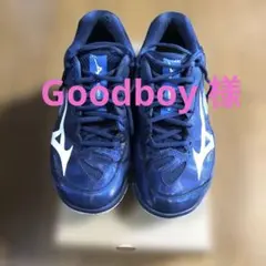 Mizuno バドミントンシューズ ネイビー/ホワイト 4E