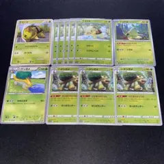 ナエトル ハヤシガメ まとめ セット