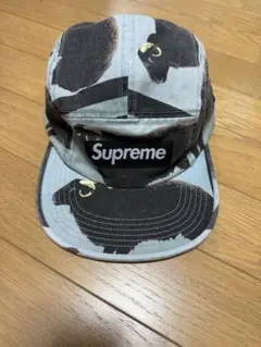 Supreme Damien Hirst Camp Cap