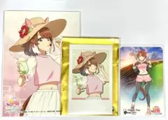 ウマ娘　ダンツフレーム　カードセット