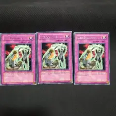 遊戯王　英語　ライフチェンジャー　旧アジア版　3枚セット