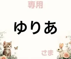 専用