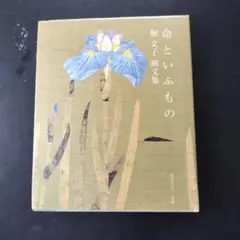 堀 文子、密林のモルフォ蝶、新品額装付、画集画、状態良好、年代物 ナカジマアート