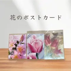 Item thumbnail for item 78c6d621-3909-4407-a5c3-c2406e19d4a7