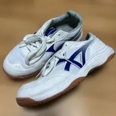 Item thumbnail for item a4cf381d-405b-43ab-848b-5e8b6309c9b8