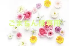 酵水素328選 生サプリメント燃・もぎたて生スムージー