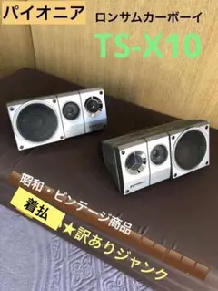 Pioneer TS-X10 スピーカー 据置型 パイオニア Pioneer 据置型スピーカー TS-X10（パイオニア