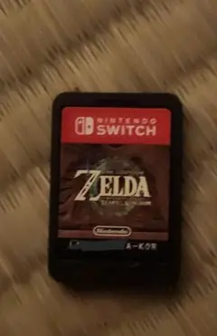 ゼルダの伝説 ティアーズ オブ ザ キングダム