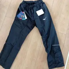 Item thumbnail for item b18c712c-0ca4-4ef3-8d94-70f1ee127b4c