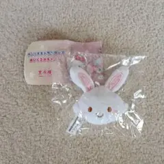 サンリオキャラクターズぬいぐるみチャーム