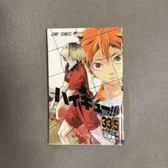 ハイキュー！！33.5劇場版特別版