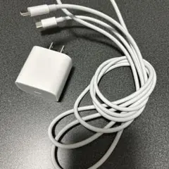 ホワイト 充電器とケーブル