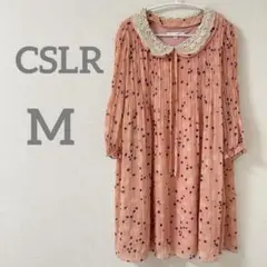 Item thumbnail for item 072316be-2165-423b-86ae-1cbf81f5d480