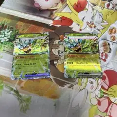 オーガポンみどりのめんex RR
