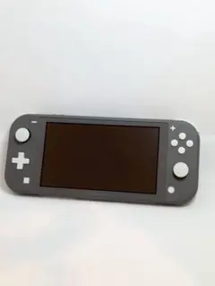 Nintendo Switch Lite グレー 本体
