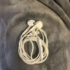 Item thumbnail for item 13cbc0a7-4ca4-4553-bf33-d0072ac9da24