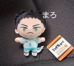 ハイキュー!!　みにコレ！ぬいぐるみマスコット3　岩泉一