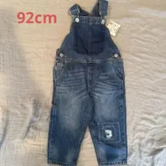 Item thumbnail for item ac8f04b5-4033-41b0-907a-34a2eadcf56f