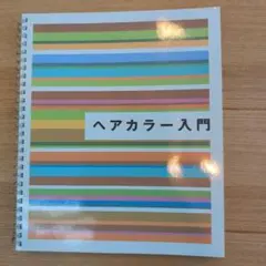 ヘアカラー入門