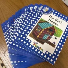 Jolly Phonics Readers Level 4