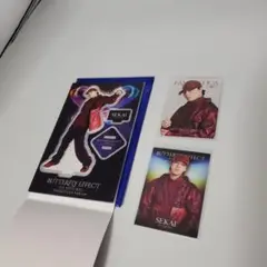 BUTTERFLY EFFECT 世界 セット②