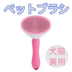 Item thumbnail for item bc59a583-d1bc-4139-8e70-14df4a512696