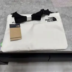 Item thumbnail for item 277c3084-778e-4627-a3e3-3851ab554679