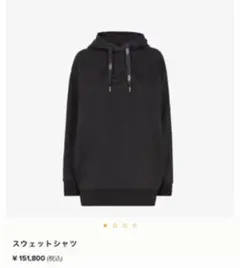 ラメ入りパーカー フェンディ