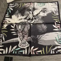 Item thumbnail for item b53f18e1-2829-4921-99e2-85de006aaaa5