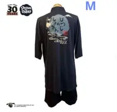 Item thumbnail for item 6829a048-f401-4d4e-9263-b2c807a423a4
