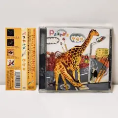 水曜日　pascals