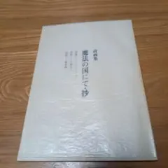 アンリ・ミショー 詩集 (双書・20世紀の詩人 19)　小沢書店 アンリ・ミショー 詩集 (双書・20世紀の詩人 19) 小沢書店 文学