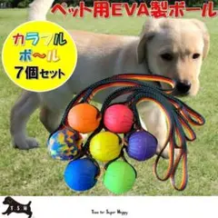 ７色セット　EVAボール 直径７ｃｍ　ロープ付き　噛むおもちゃ　犬　引っ張り玩具