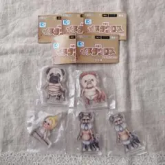犬闘士　イヌタウロス　アクリルブロック　モーリーファンタジー