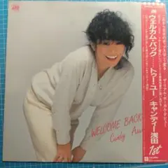 FLYING BEAGLE 菊池ひみこ　LP レコード　ジャズ　シティポップ FLYING BEAGLE 菊池ひみこ LP レコード ジャズ シティポップ