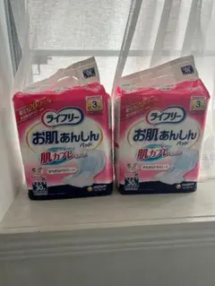 Item thumbnail for item 106870c1-2a31-4e6a-8adc-f7649596202f