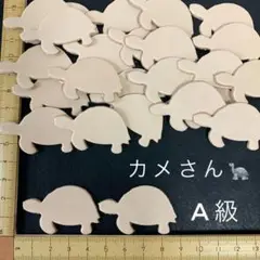 ヌメ革　カメさん　A級　２０枚セット