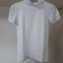 ホワイト レース袖 ハイネック Tシャツ