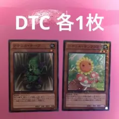 ナチュルサンフラワー DTC2 ナチュルナーブ DTC1 各1枚 まとめ売り