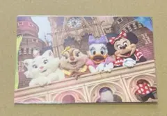 ポストカード　ガールズ　城前　ディズニー　実写　イマジニングザマジック